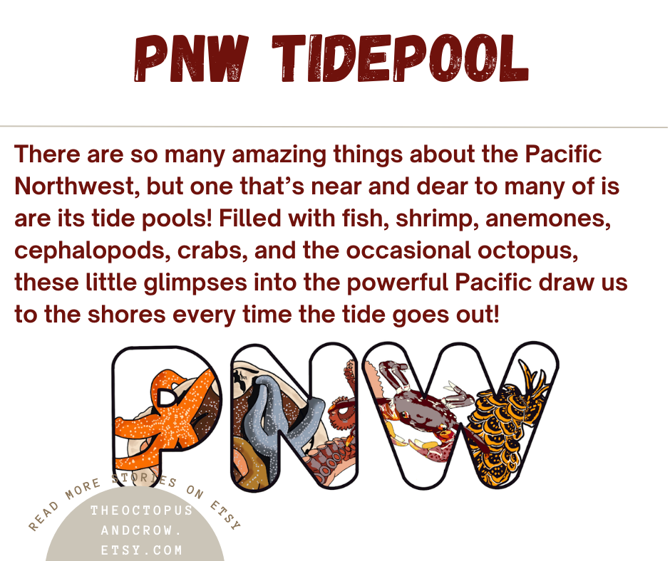 PNW Tidepool